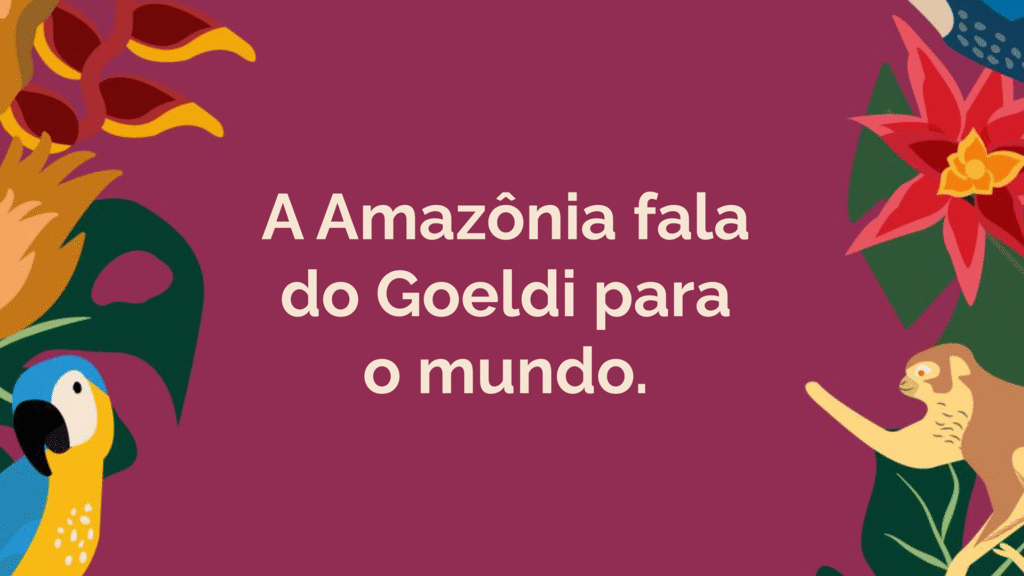 COP30: PROGRAMAÇÃO DO MUSEU GOELDI NA CASA DAS ROSAS