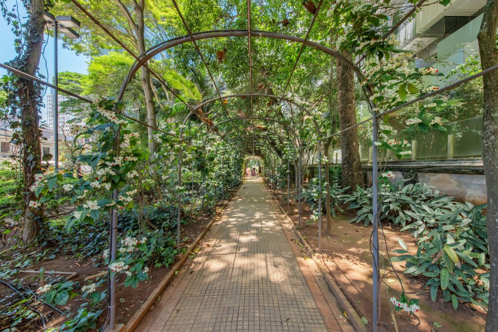 16ª VIRADA SUSTENTÁVEL NOS MUSEUS-CASAS